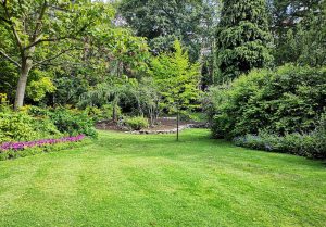 Optimiser l'expérience du jardin à Liercourt